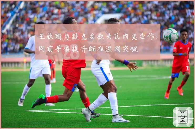 王欣瑜与捷克名教头瓦内克合作，网前手感提升瞄准温网突破