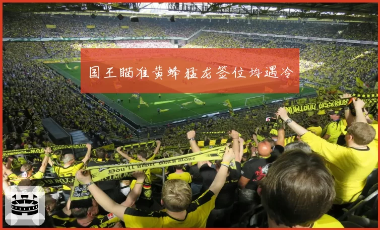 国王瞄准黄蜂猛龙签位均遇冷